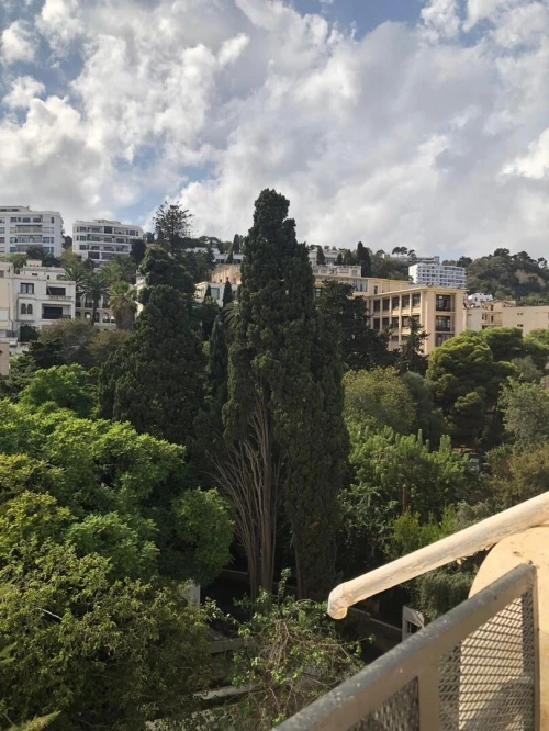 Vente Terrain Alger Rouiba