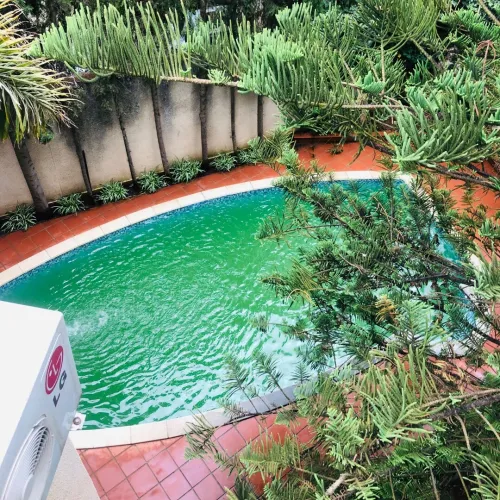 Cherche location Villa Alger Hydra