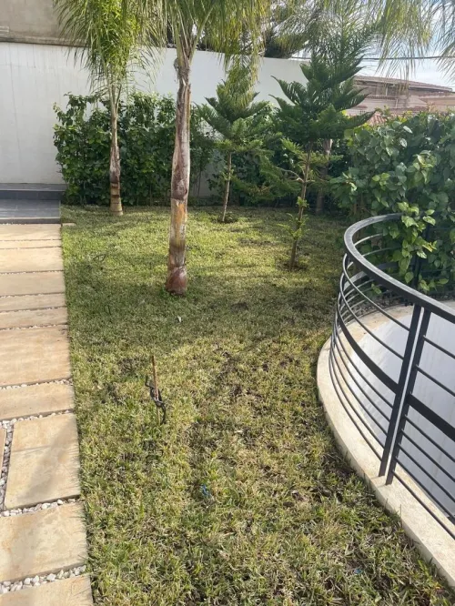 Location Niveau De Villa F4 Alger Birkhadem