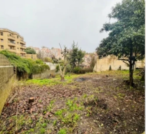 Vente Villa Alger El biar