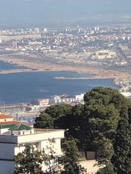 Cherche achat Appartement Alger Dely brahim
