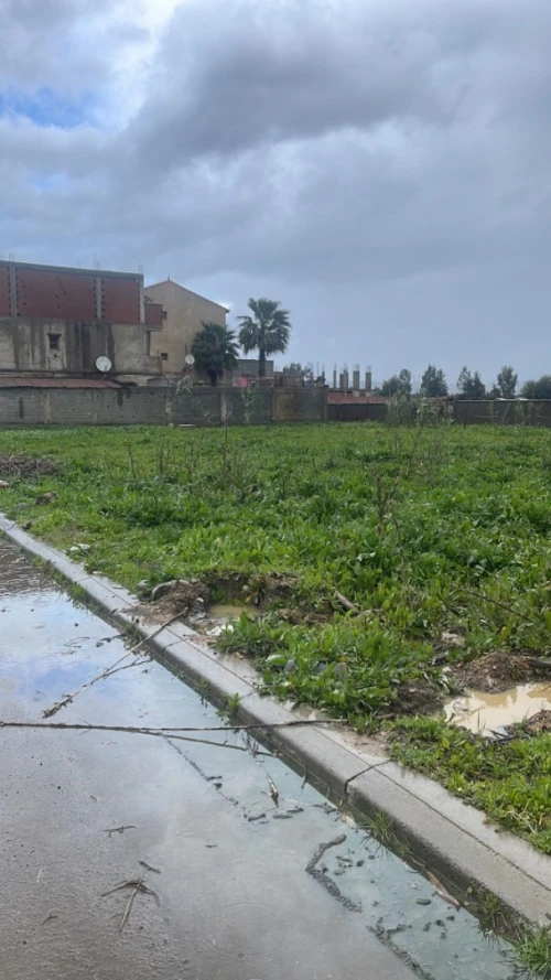 Vente Terrain Alger Douera