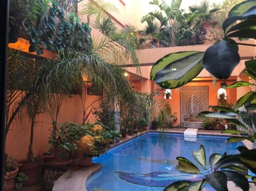 Cherche achat Appartement F10+ Alger Alger centre