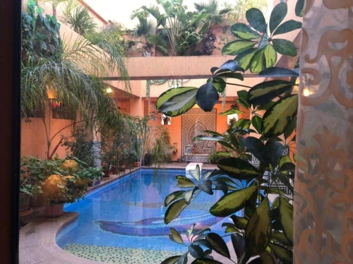 Cherche location Villa Alger Alger centre