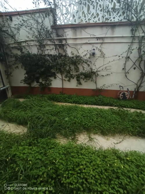 Vente Villa Alger El biar