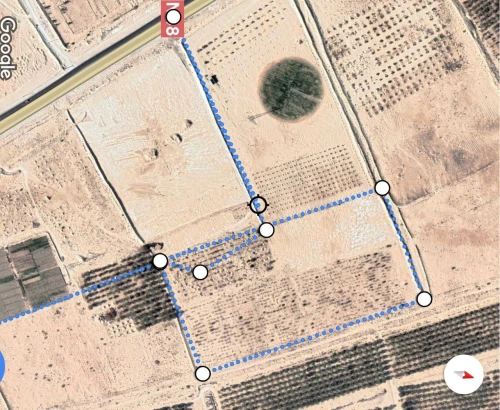 Vente Terrain Agricole El oued Reguiba