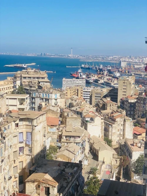 Cherche achat Appartement Alger Dely brahim