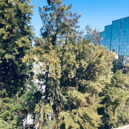 Location Appartement F4 Alger Hydra
