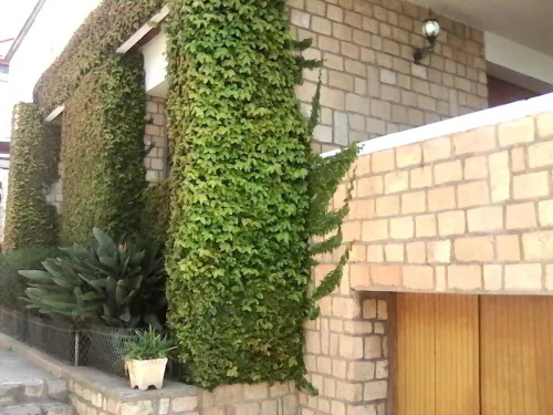 Cherche location Appartement F10 Alger Alger centre