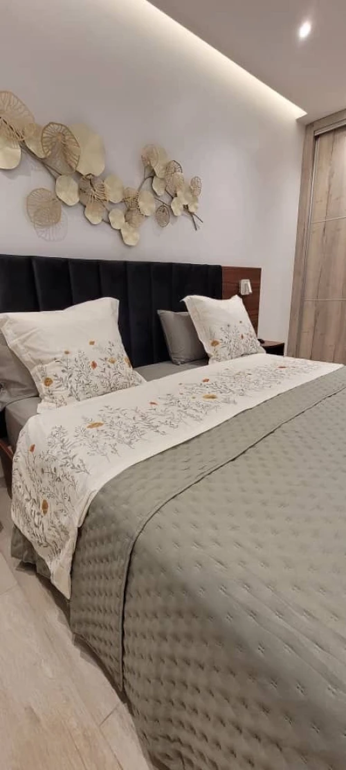 Location Appartement F4 Alger Hydra