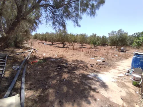 Vente Terrain Mostaganem Mesra