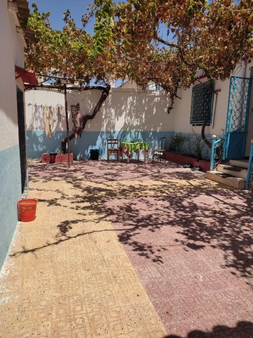 Vente Terrain Mostaganem Mesra