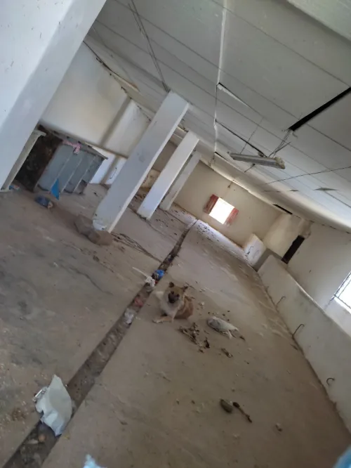 Vente Terrain Mostaganem Mesra