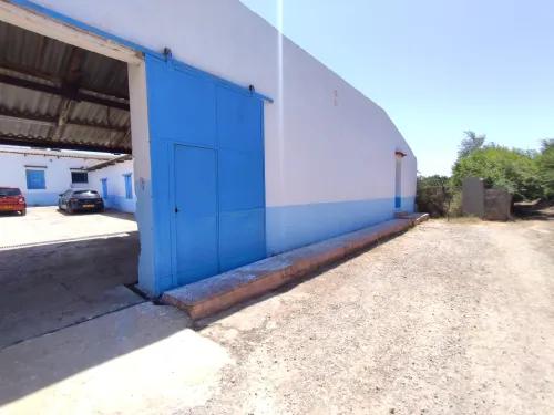 Vente Terrain Mostaganem Mesra
