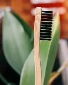 BROSSE A DENT AU BAMBOU POUR LES HOTELS ET PHARMACIE  60 DA SUPER GROS