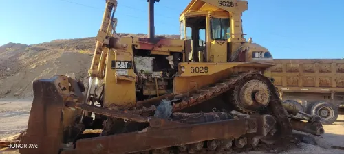 Cat Cat 1987