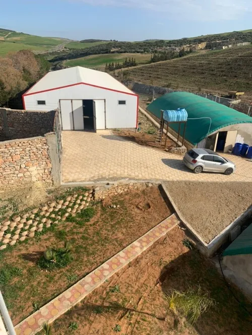 Vente Terrain Agricole Oran Ain el kerma