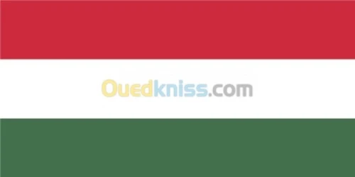 Traduction Roumain français Arabe