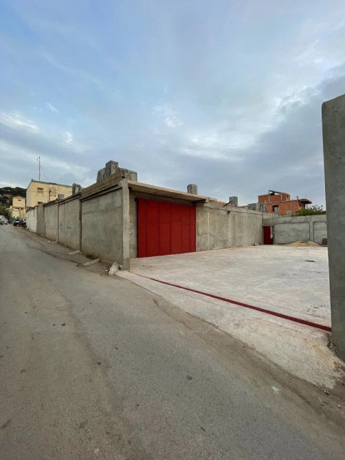 Location Hangar - Usine Tipaza Bou haroun