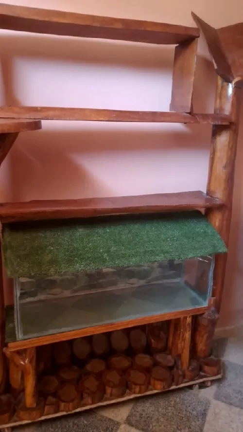 اكواريوم  aquarium