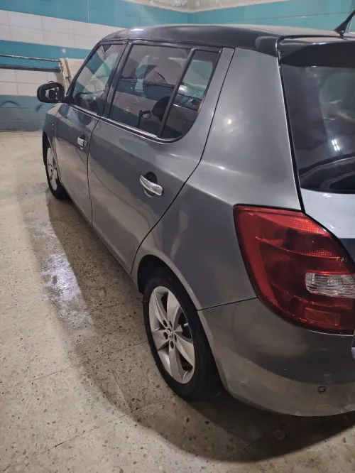 Skoda Fabia 2013 Fresh
