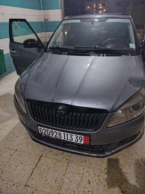 Skoda Fabia 2013 Fresh