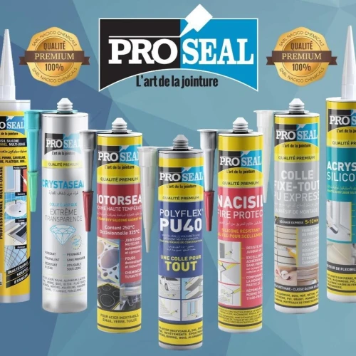 Silicones et Mastics Colle Multi-Usages