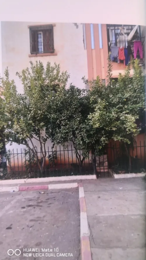 Vente Appartement F4 Tipaza Kolea