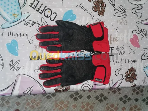 Veste moto plus les gants