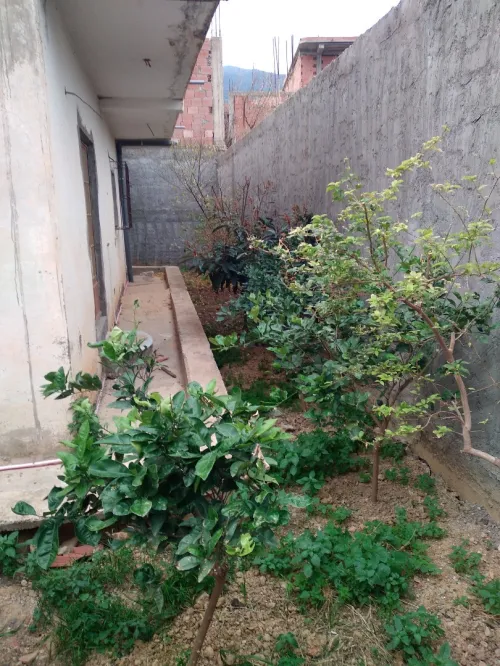 Vente Villa Blida Blida