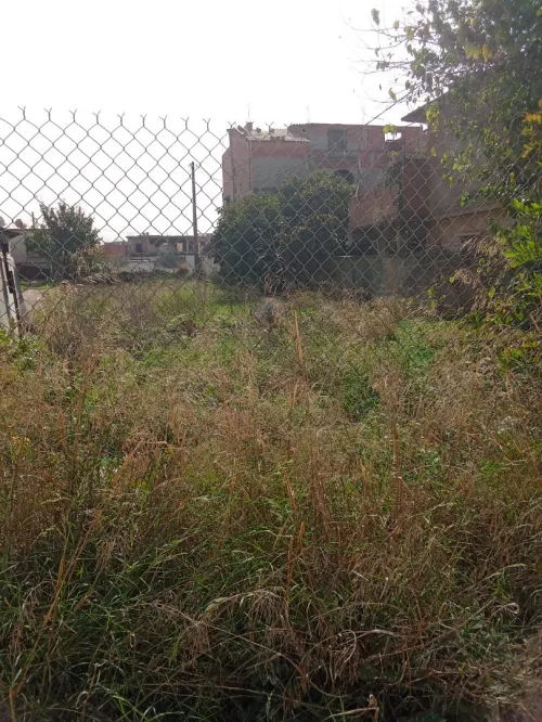 Vente Terrain Boumerdès Hammedi