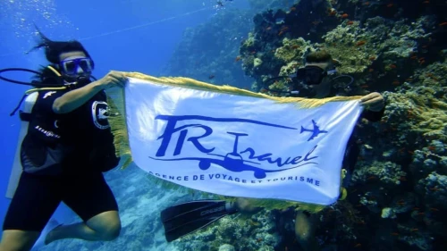 VOYAGE ORGANISER CAIRE/ SHARM EL SHIEKH