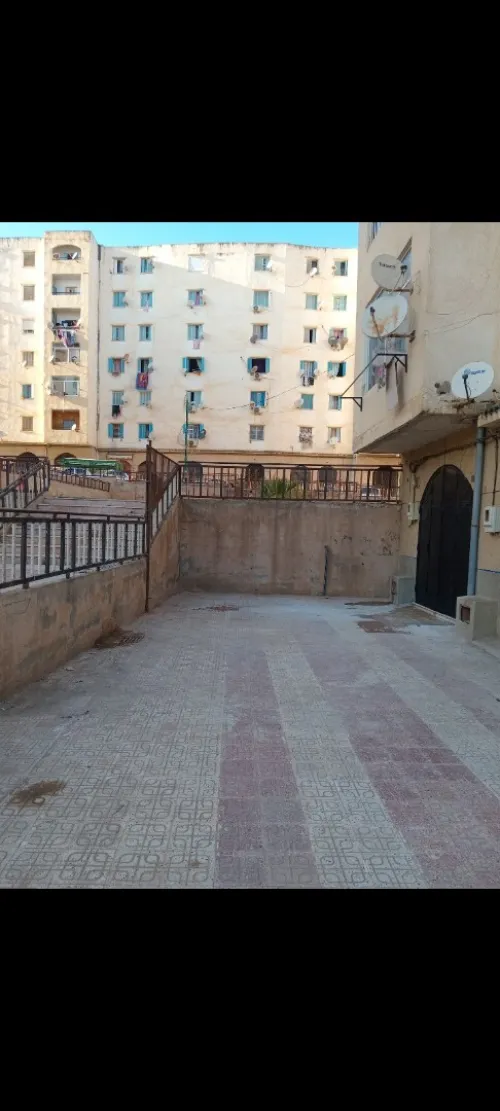 Location Local Alger Saoula