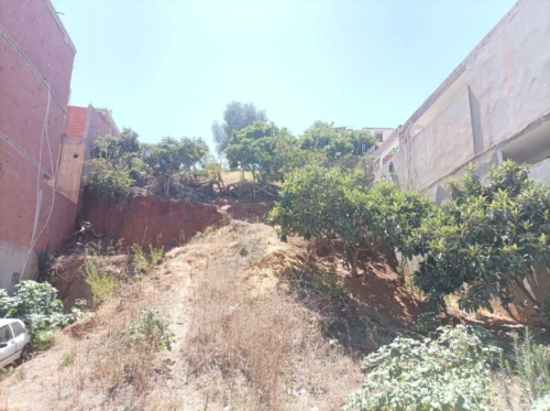 Vente Terrain Alger Khraissia