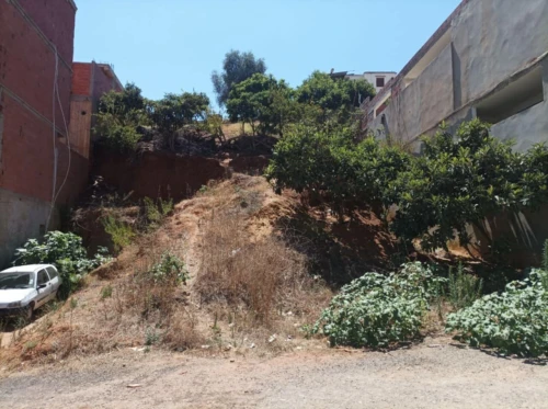 Vente Terrain Alger Khraissia