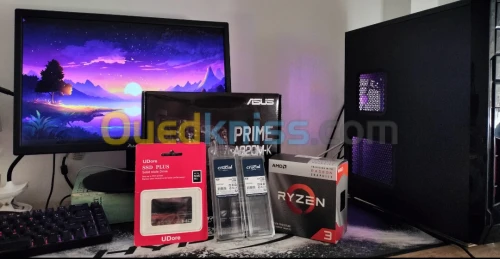 SETUP HAJA CHABA