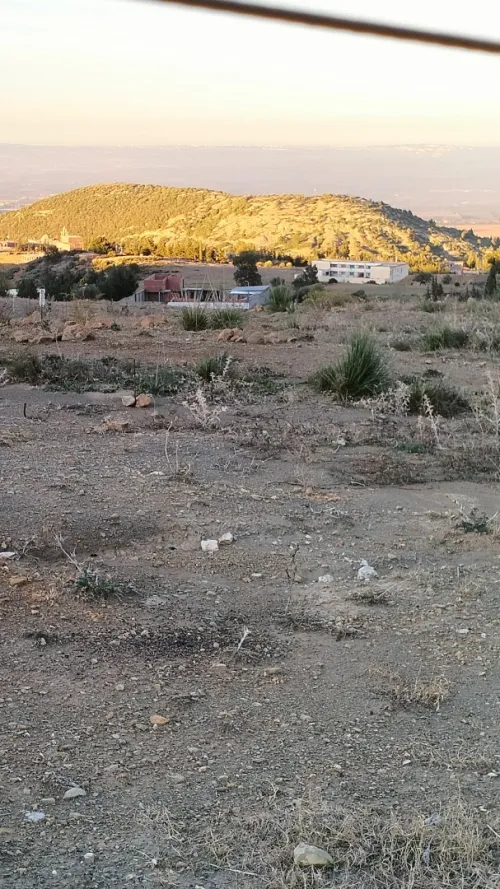 Vente Terrain Blida Ain romana