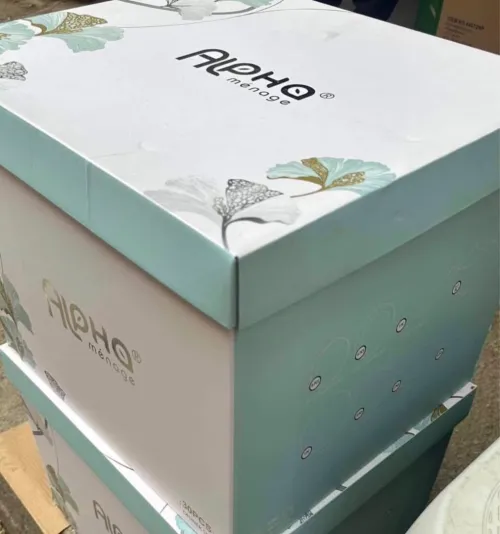 Service a Table Alpha 30 pièces