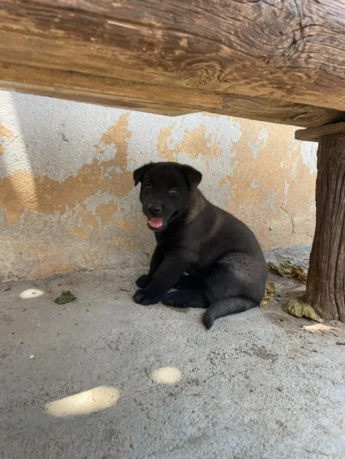 Disponible 2 malle Blu Mexicain âge 1 Mois 10 jours
