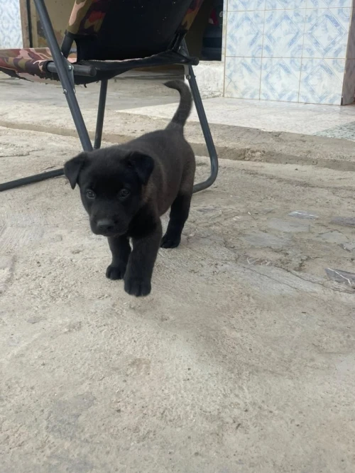 Disponible 2 malle Blu Mexicain âge 1 Mois 10 jours
