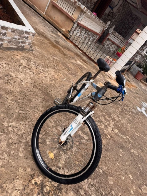 Vélo HAM 24 puce 