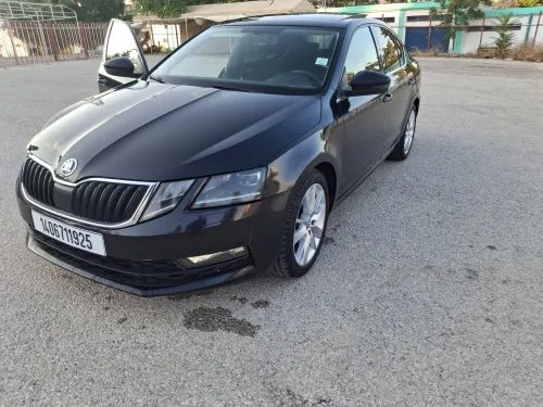 Skoda Octavia 2019 Clever