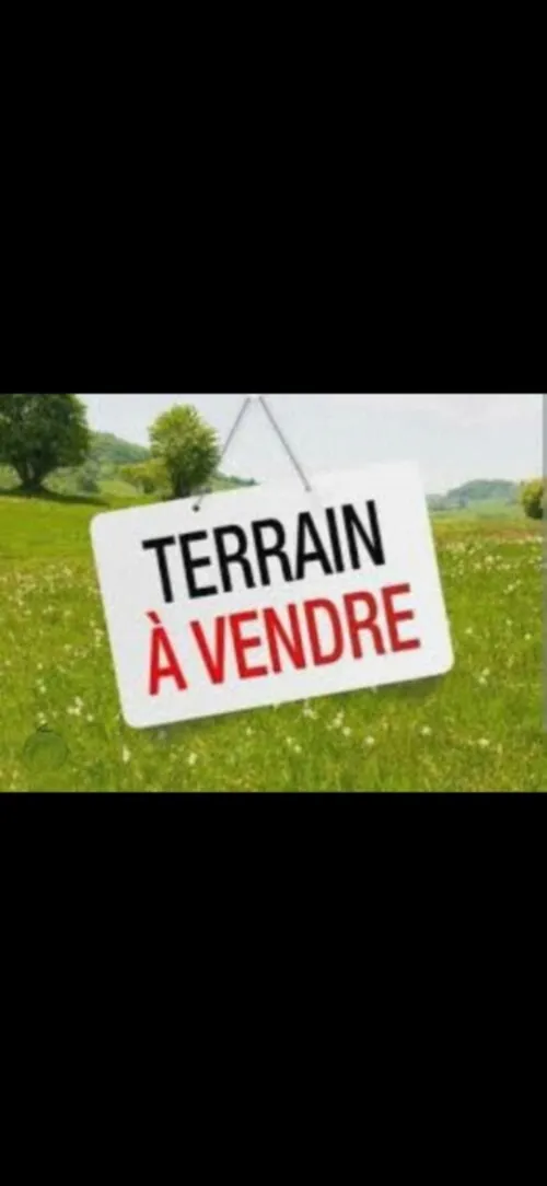 Vente Terrain Oran Bir el djir