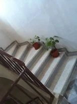 Vente Villa Tlemcen Tlemcen