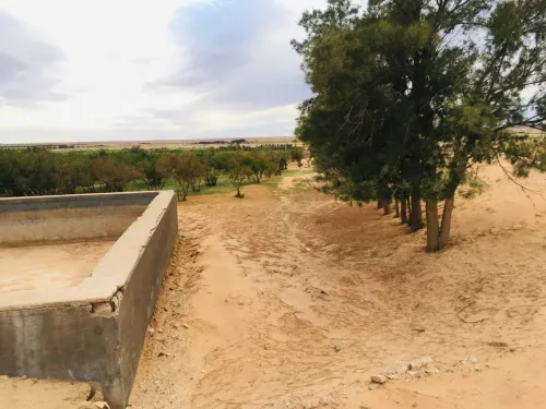 Vente Terrain Agricole Djelfa Tadmit
