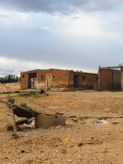 Vente Terrain Agricole Djelfa Tadmit