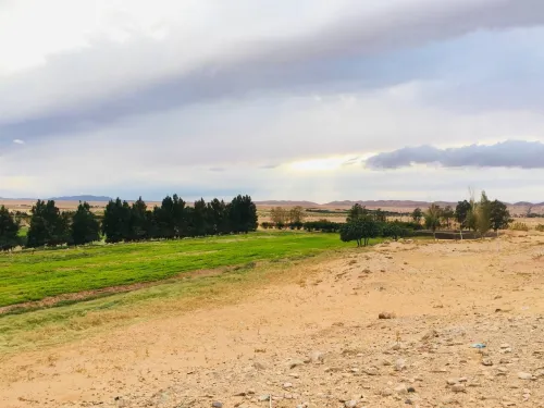 Vente Terrain Agricole Djelfa Tadmit