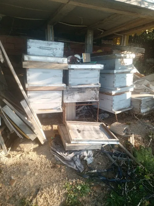 Ruche d'abeille نحل