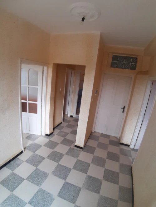 Location Appartement Studio Alger Beni messous