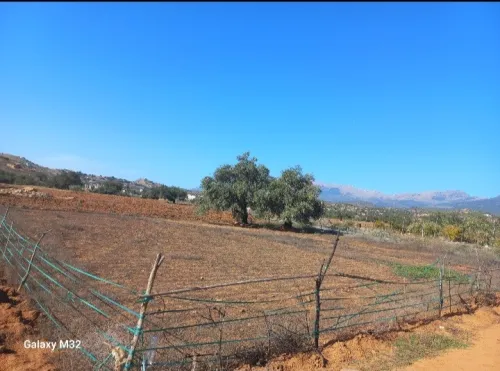 Vente Terrain Bouira El adjiba
